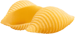 /CONCHIGLIE%20(Shell)